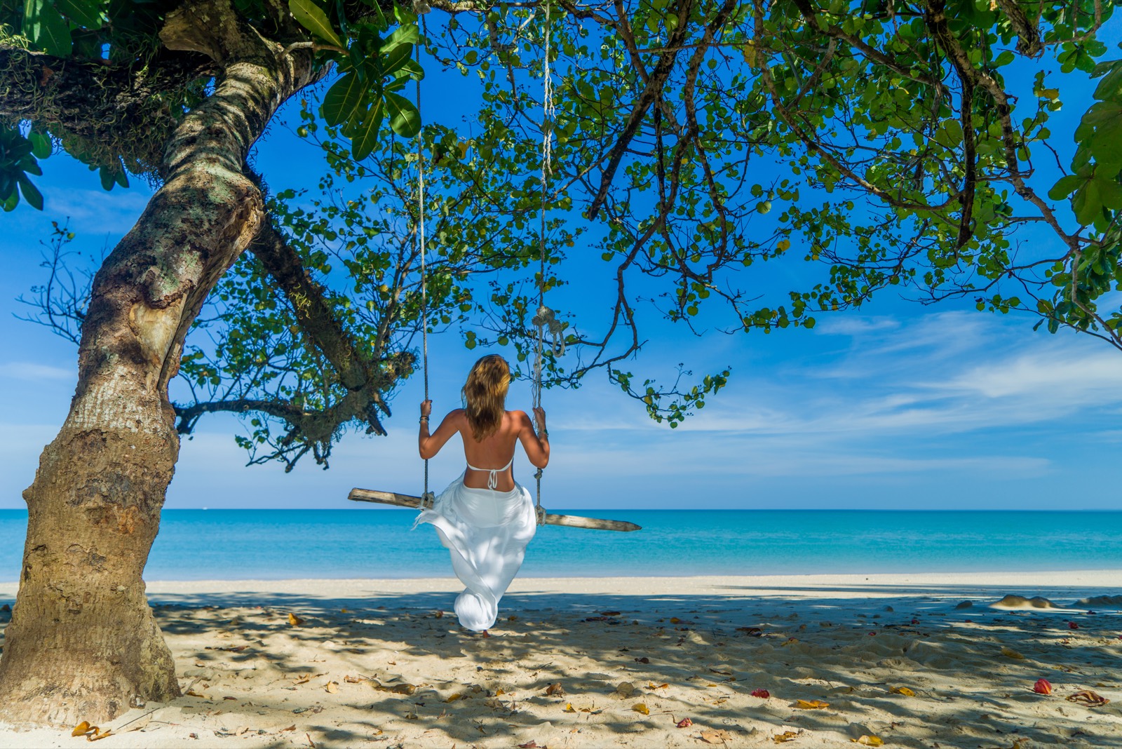 Woman relaxing on a swing beside a tropical beach